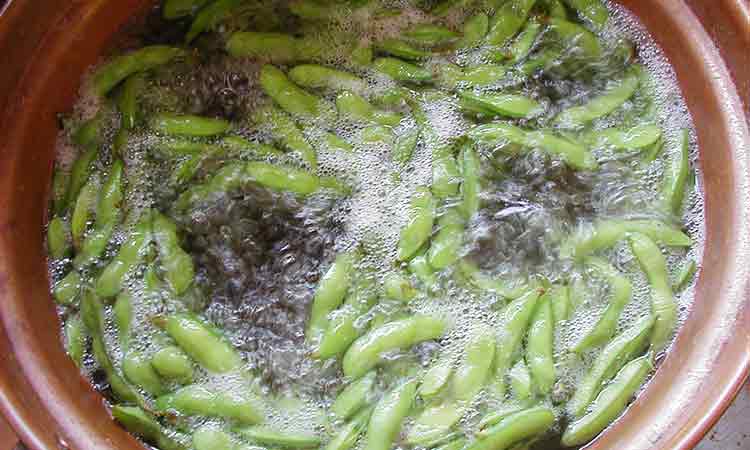 白山だだちゃ豆のおいしい茹で方