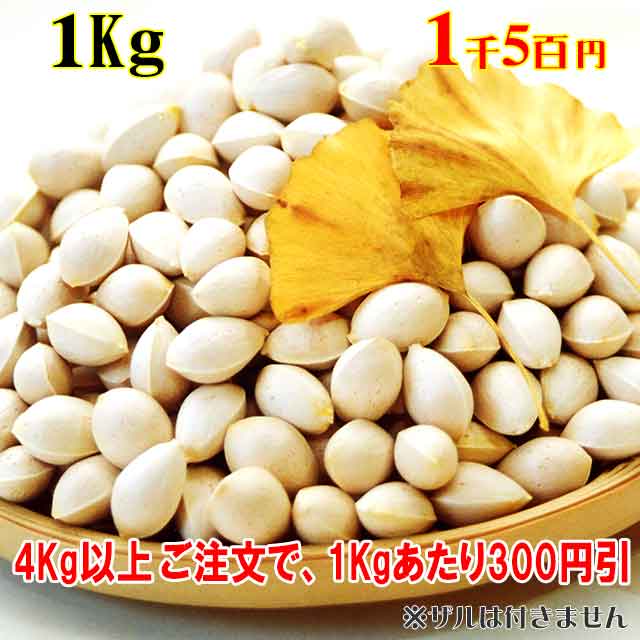 天然銀杏 1Kg 天然銀杏 1Kg