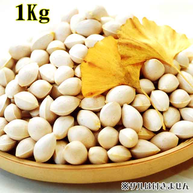 天然銀杏 1Kg 天然銀杏 1Kg