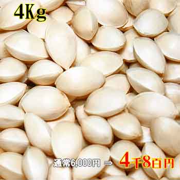 天然銀杏 4Kg