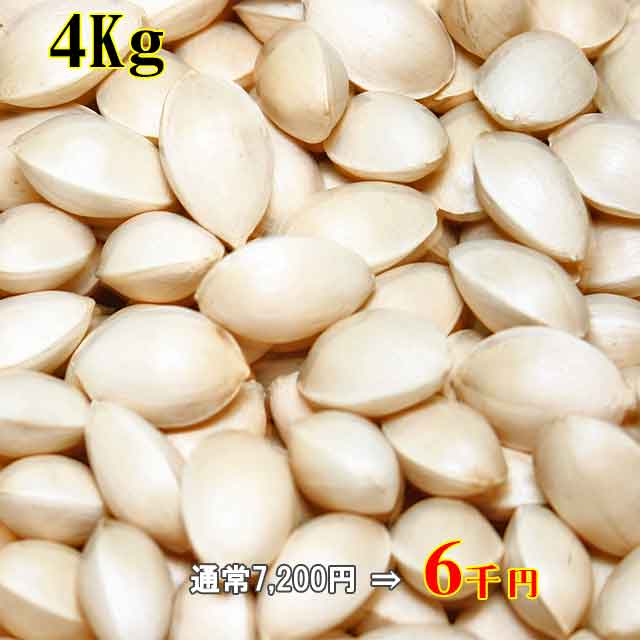 天然銀杏 4Kg 天然銀杏 4Kg