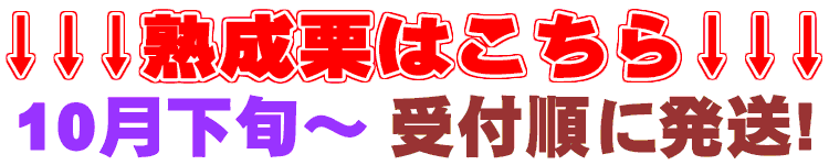 熟成栗はこちら