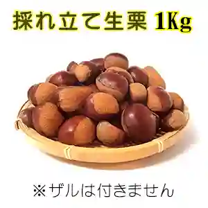 採れ立て生栗 1Kg