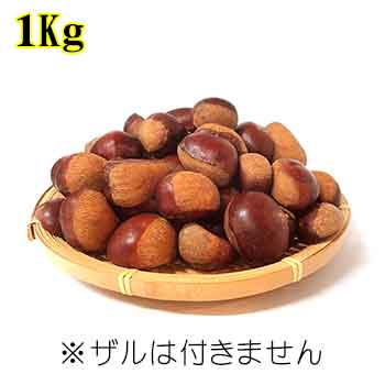 採れ立て生栗 1Kg