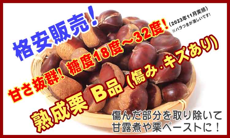 熟成栗 B品