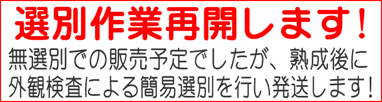 選別作業再開