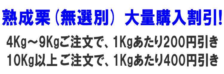 熟成栗 無選別 大量購入割引