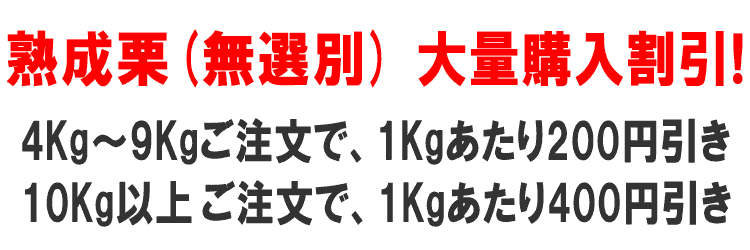 熟成栗 無選別 割引