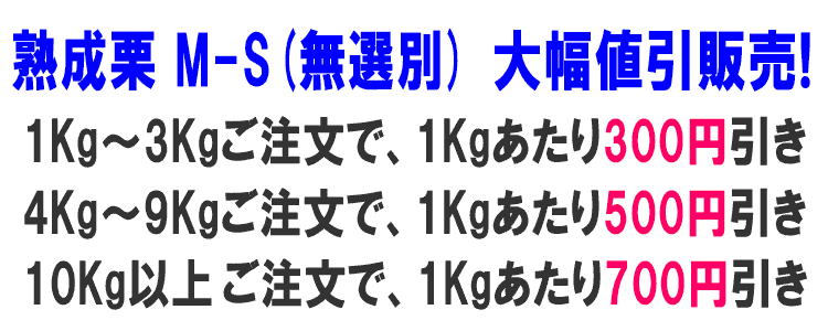 熟成栗M-S 無選別 大幅値引