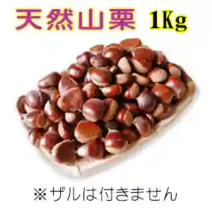 天然山栗 Sサイズ1Kg