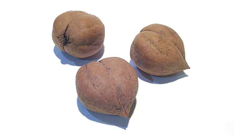 天然姫胡桃 1Kg