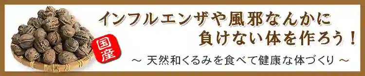 インフルエンザや風邪なんかに負けない体を作ろう