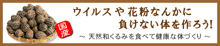 和くるみ オニグルミ 生で食べても安全な国産の天然胡桃 山菜屋 Com