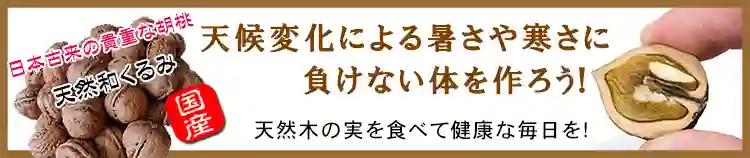 暑さや寒さに負けない体作り