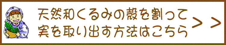 和くるみの殻を割って実を取出す方法