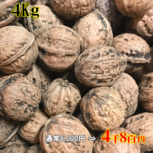 くるみの樹皮 2Kg - 素材/材料