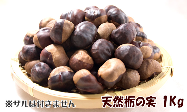 天然栃の実 1kg