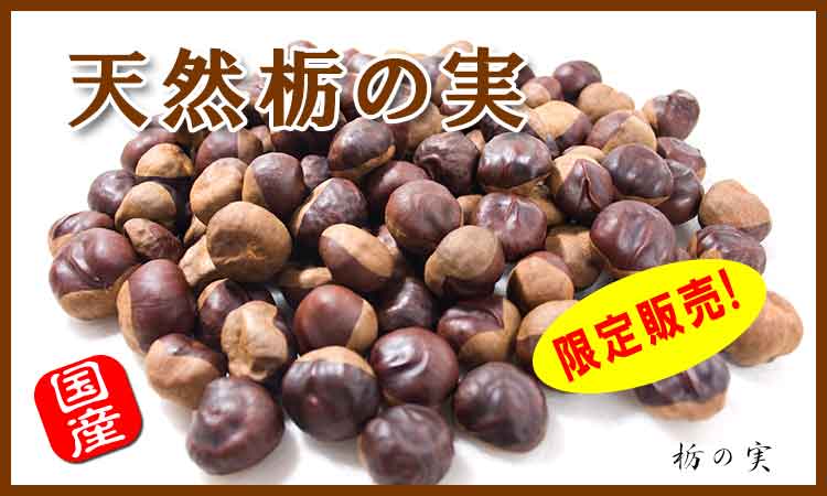 栃の実 とちのみ 通販 栃餅 とちもち の販売と作り方 山菜屋 Com