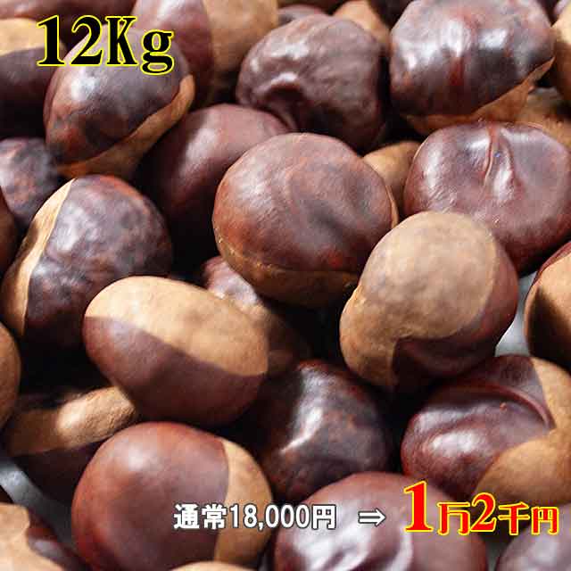 天然栃の実 12Kg 天然栃の実 12Kg