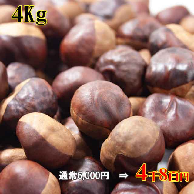 天然栃の実 4Kg 天然栃の実 4Kg
