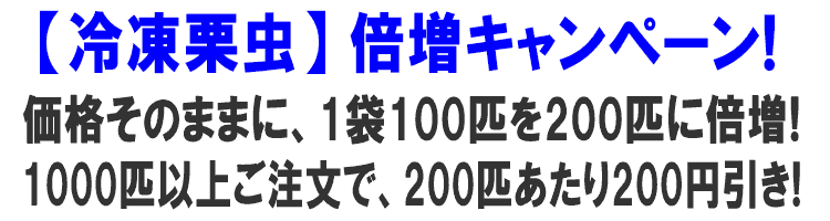 栗虫 通販 リスが大喜びする様子にびっくり 山菜屋 Com