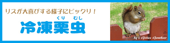 リス