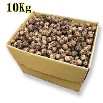 ペット用 天然和くるみ 10Kg