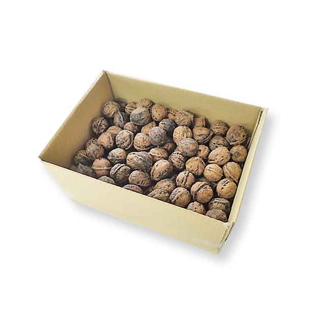 ペット用 天然和くるみ 1Kg ペット用 天然和くるみ 1Kg(バラ詰め)