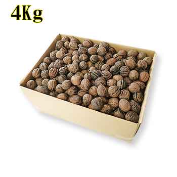 ペット用 天然和くるみ 4Kg