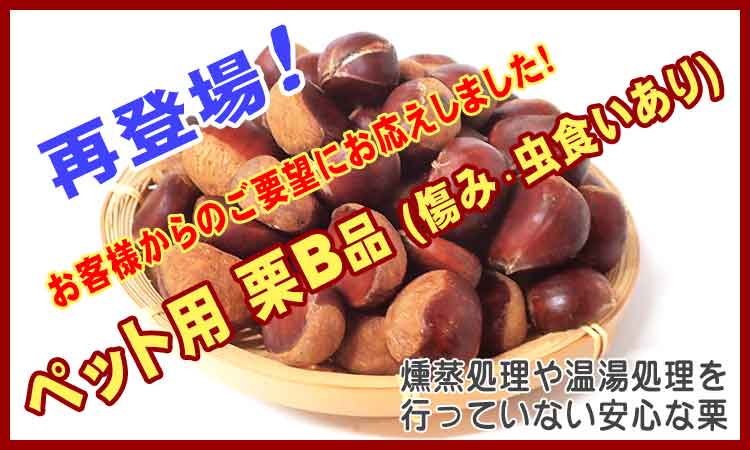 ペット用 栗B品