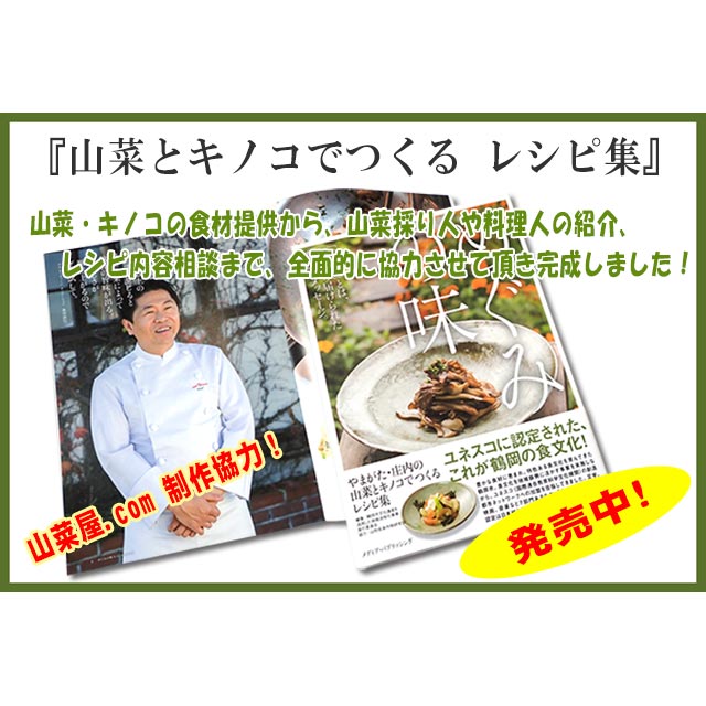 山菜とキノコでつくるレシピ集 山菜とキノコでつくるレシピ集