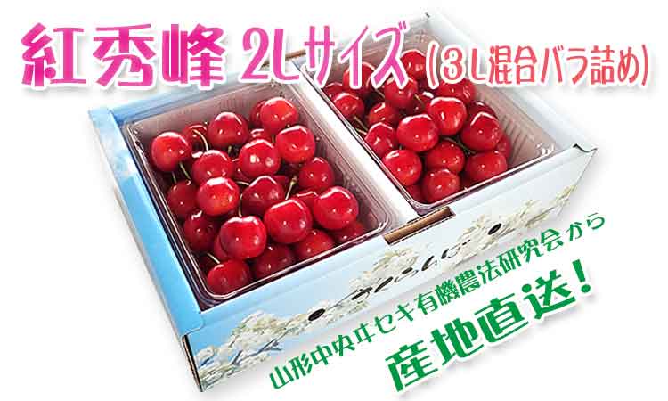 【秀】紅秀峰 2Lサイズ（3L混合1Kgバラ詰）
