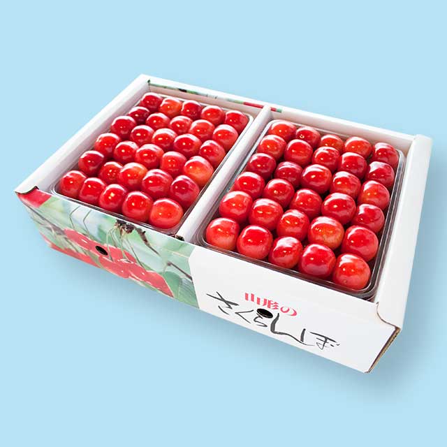 【特秀】 佐藤錦 2Lサイズ (1Kg手詰) クール便 【特秀】 佐藤錦 2Lサイズ (1Kg手詰) クール便