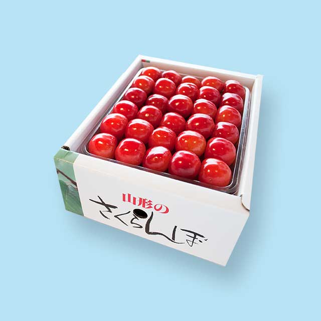 【特秀】 佐藤錦 2Lサイズ (500g手詰) クール便 【特秀】 佐藤錦 2Lサイズ (500g手詰) クール便