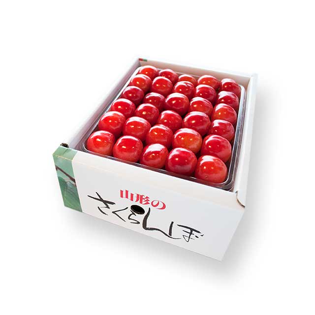 【特秀】 佐藤錦 2Lサイズ (500g手詰) 【特秀】 佐藤錦 2Lサイズ (500g手詰)