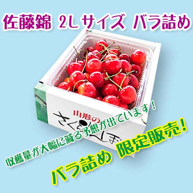 【秀】 佐藤錦 2Lサイズ (500gバラ詰) クール便 【秀】 佐藤錦 2Lサイズ (500gバラ詰) クール便