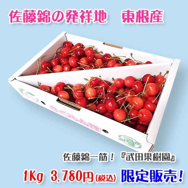 【秀】武田果樹園 佐藤錦 1Kg