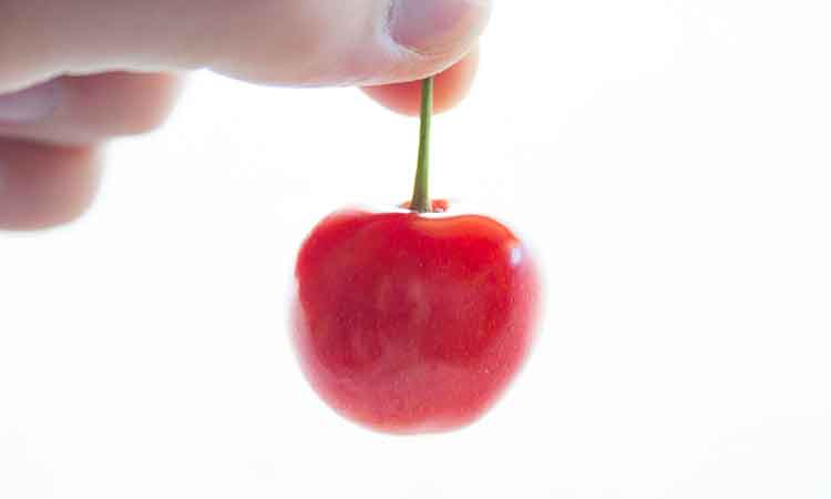 本場山形特産　【甘熟さくらんぼ】