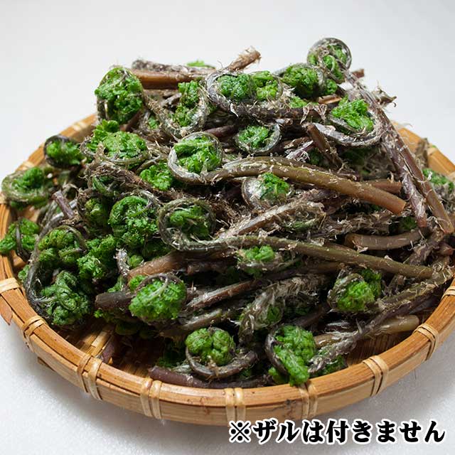 天然赤こごみ 500g 天然赤こごみ 500g