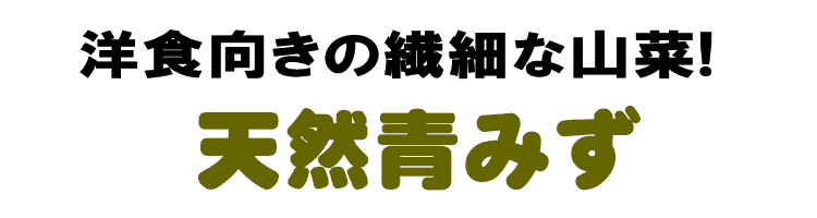 洋食向きの繊細な山菜