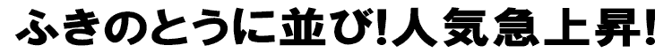 ふきのとうに並び！人気急上昇！