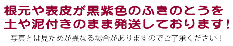 ふきのとう 通販 天然山菜専門卸問屋からお取り寄せ 山菜屋 Com