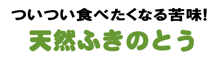 ふきのとう 通販 天然山菜専門卸問屋からお取り寄せ 山菜屋 Com