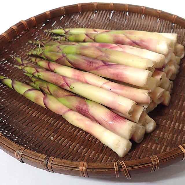 月山筍 1Kg