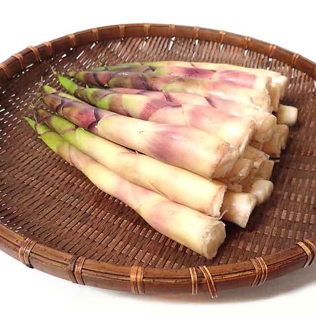 月山筍 極太 1Kg 月山筍 極太 1Kg