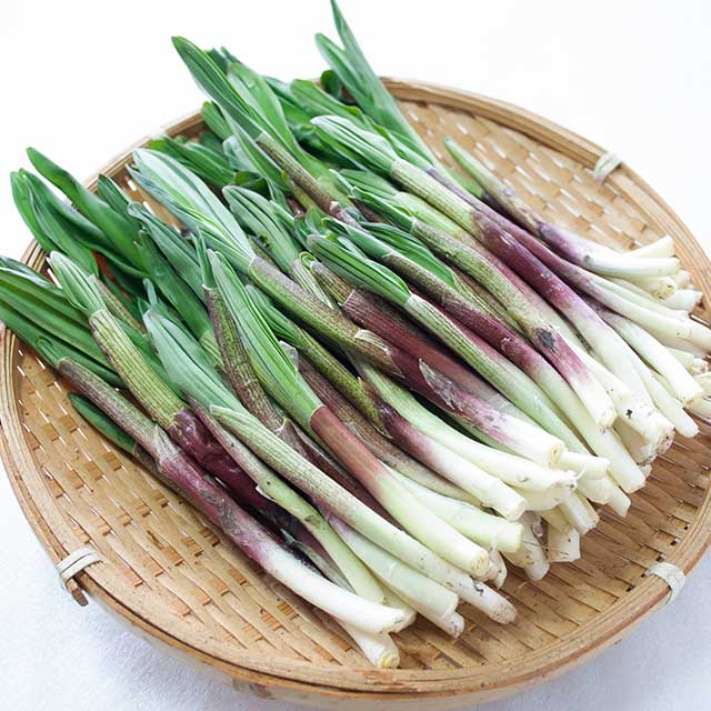 天然行者にんにく(北海道産)300g 天然行者にんにく(北海道産)300g
