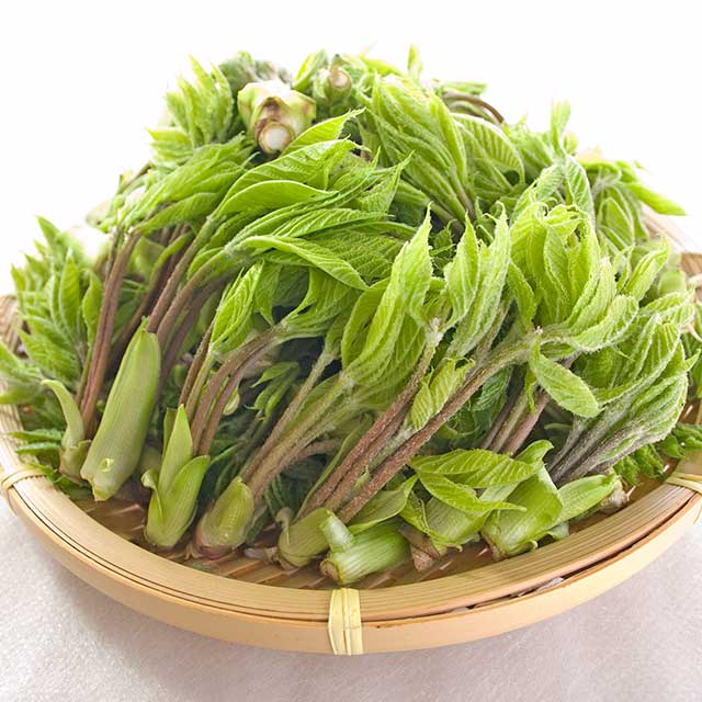 天然こしあぶら 天然こしあぶら