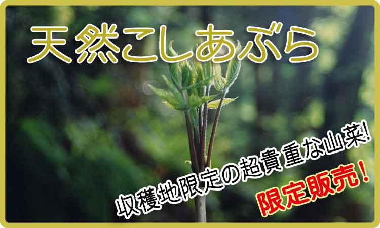 天然こしあぶら