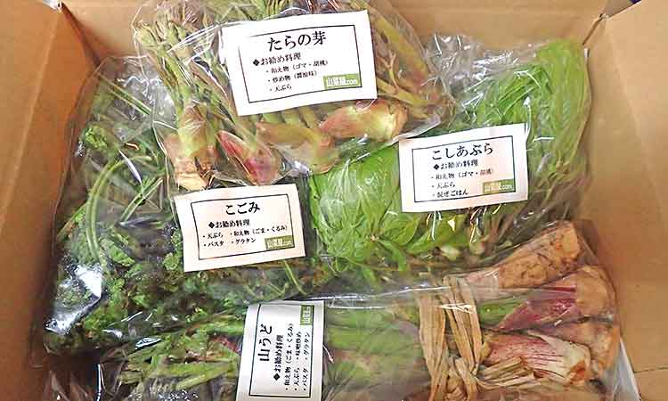 4月下旬お届けの梱包例（内容はその都度変わります）