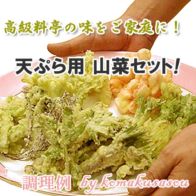 天ぷら用山菜 ４月下旬お届けセット